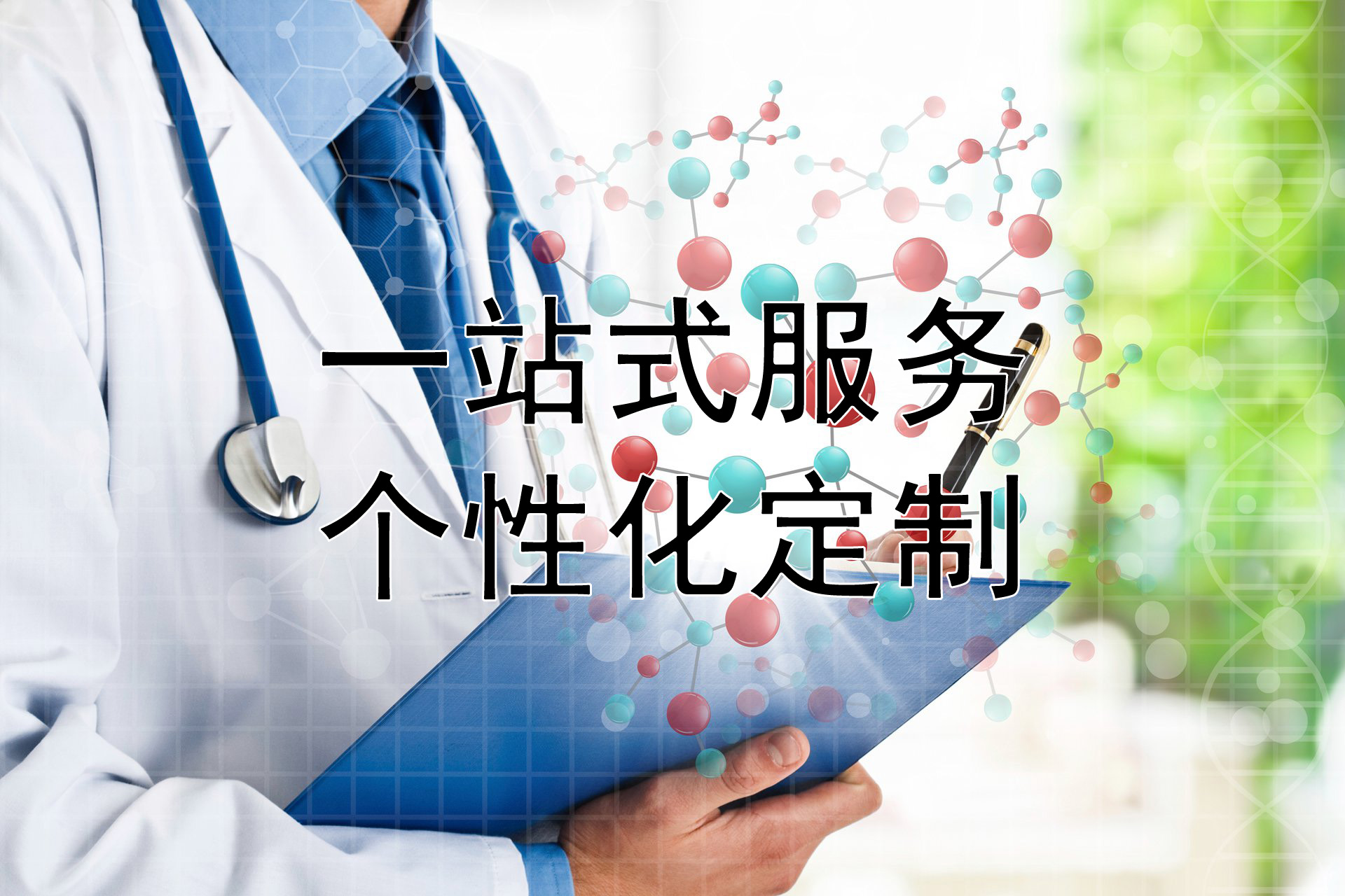 我們的服務